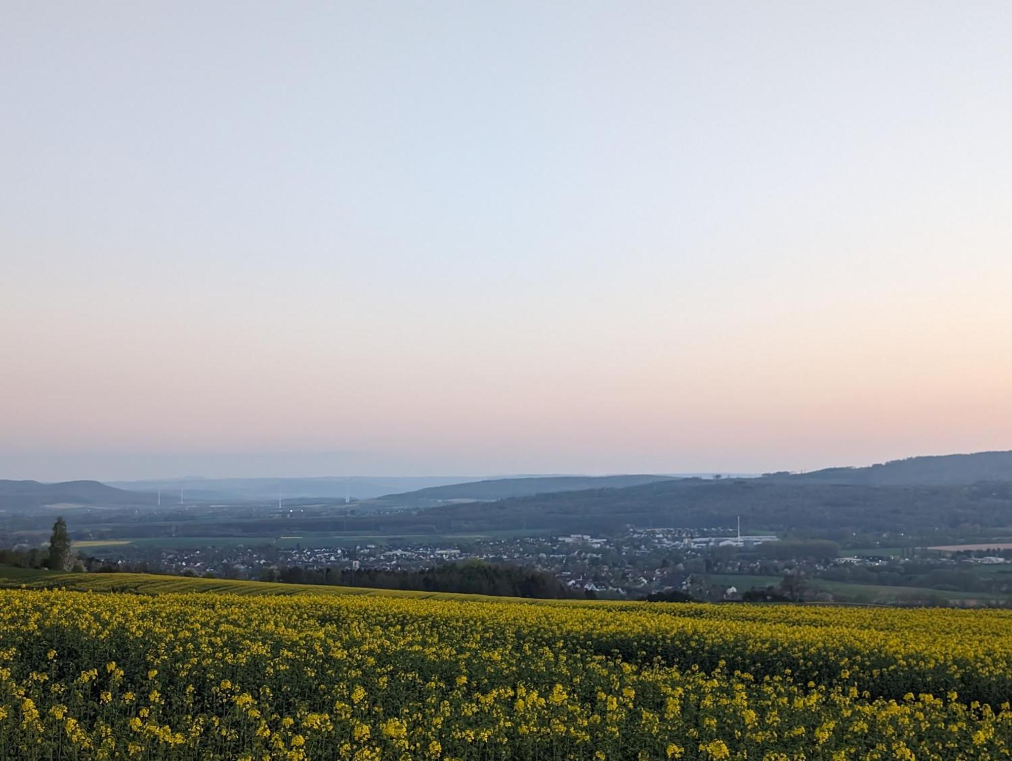 Ferienwohnung Landhaus Scholz Bad Münder am Deister エクステリア 写真